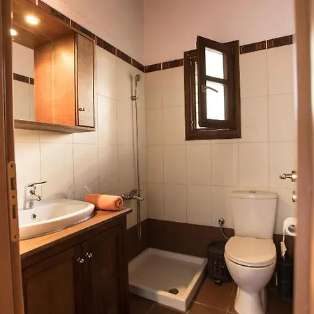 Villa Sophia Andros *