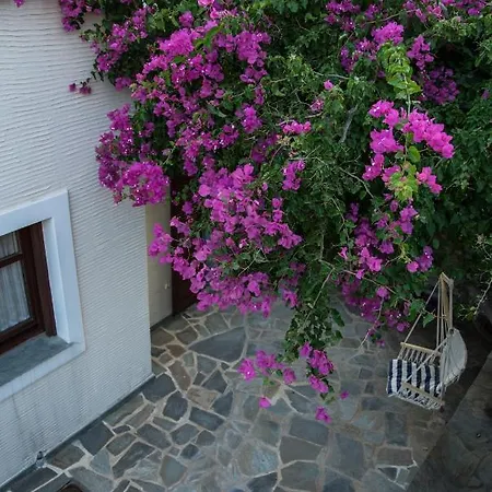 Sophia Andros Villa